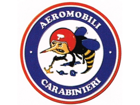Raggruppamento Aeromobili Carabinieri