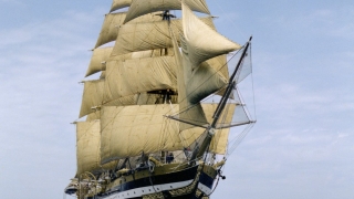 pic_2007_0000000362_0000000049