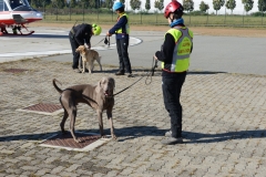 La base del reparto volo dei Vigili del Fuoco Piemonte